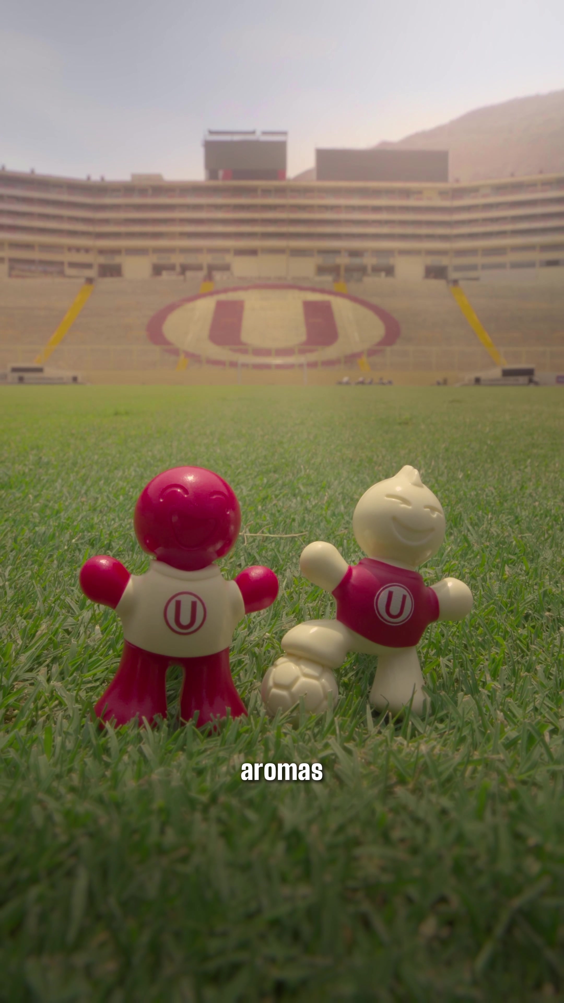 Portada del video realizado para Universitario